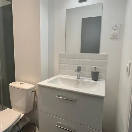 Apartament Modernes Et Chaleureux Proche Gare Avec Acces Jardin Châtellerault