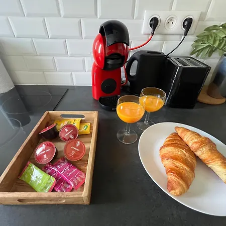 Apartament Modernes Et Chaleureux Proche Gare Avec Acces Jardin