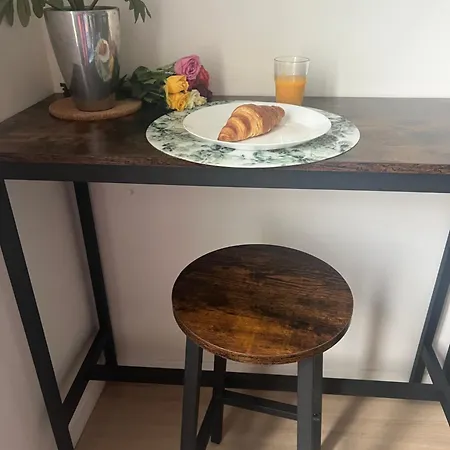 Modernes Et Chaleureux Proche Gare Avec Acces Jardin Apartment Chatellerault